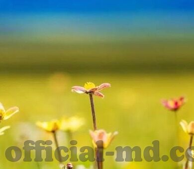 成人性线观看视频-成人性线观看视频，理解、影响与引导