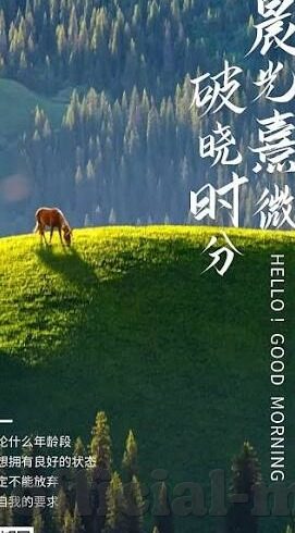 人妻性奴隶-探索人妻角色在当代社会观念中的微妙平衡